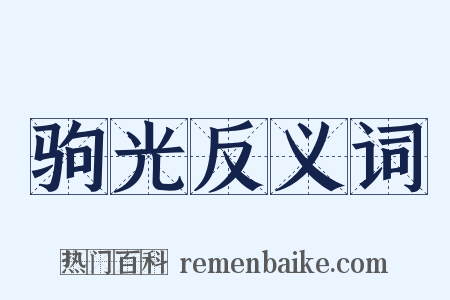 驹光反义词是什么意思的图片